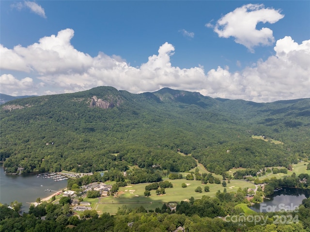 view of mountain feature with a water view