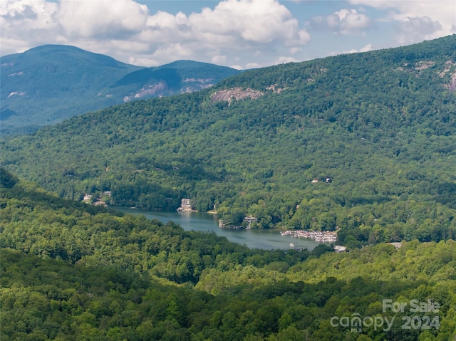 view of mountain feature featuring a water view