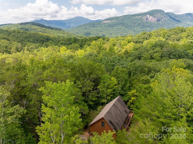 property view of mountains