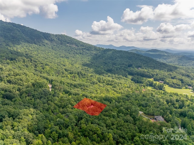 property view of mountains