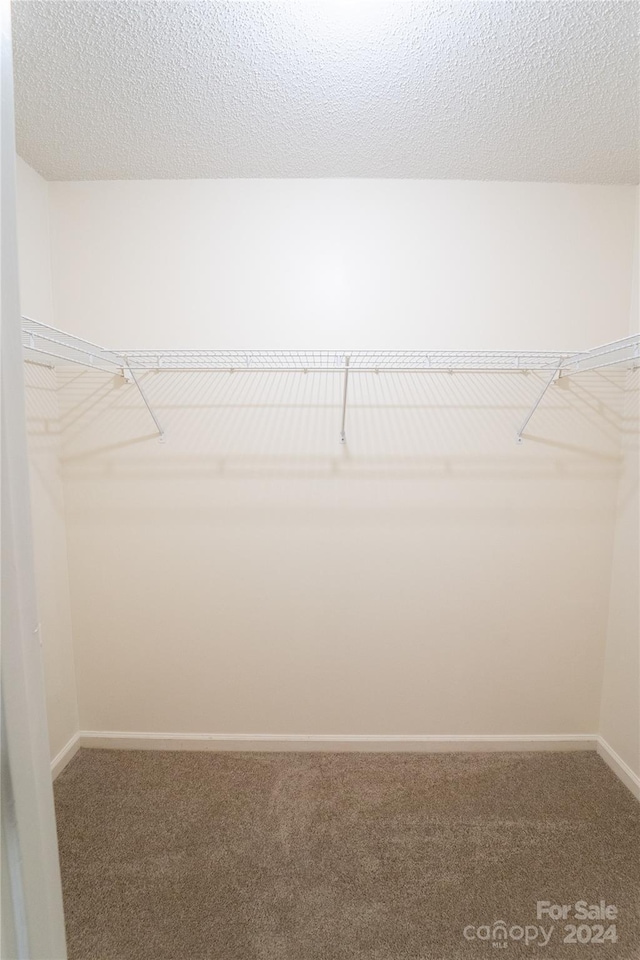 spacious closet with carpet floors