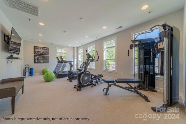 exercise room featuring a wealth of natural light and light colored carpet