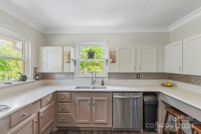 kitchen with tasteful backsplash, light countertops, a sink, and stainless steel dishwasher