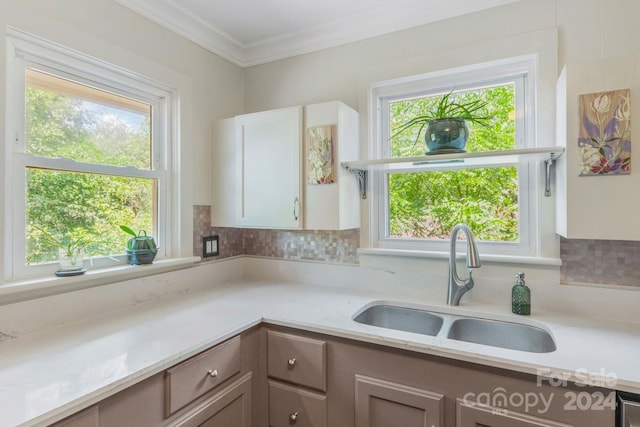 kitchen with ornamental molding, a sink, and a wealth of natural light