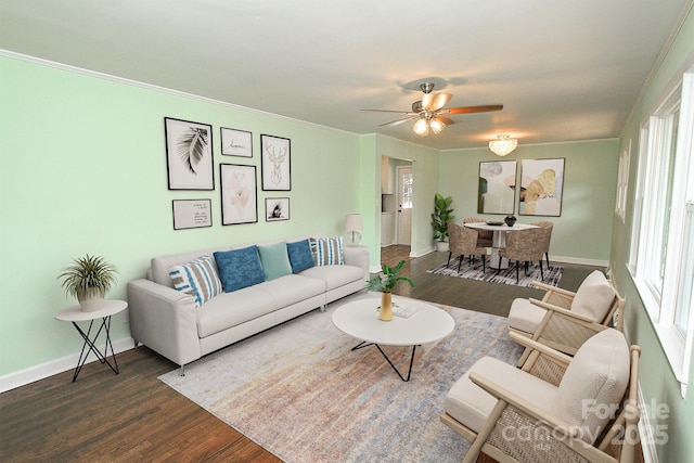 living room with ceiling fan, ornamental molding, and dark hardwood / wood-style flooring