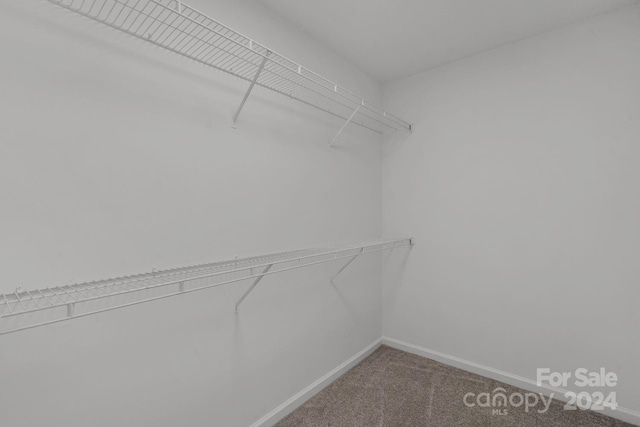 spacious closet featuring carpet flooring