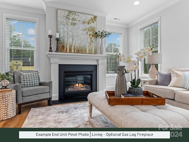 living room with hardwood / wood-style flooring, a healthy amount of sunlight, and crown molding