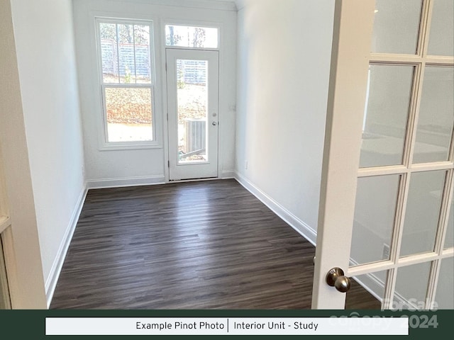 doorway with dark hardwood / wood-style flooring