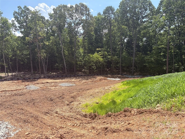 0000 River Hwy, Mooresville, NC 28117 - photo 11