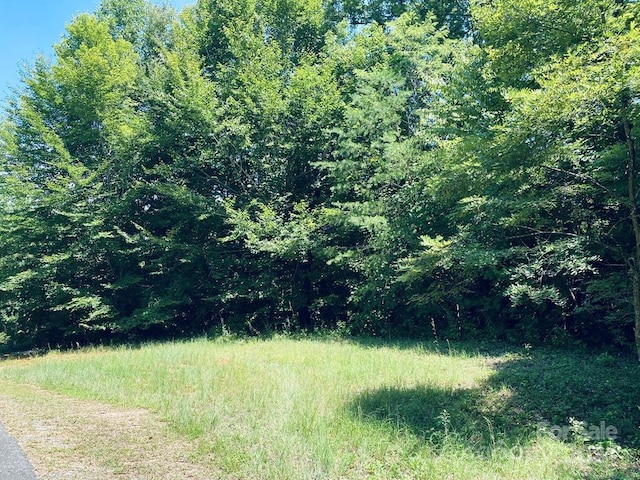 Listing photo 3 for LOT21 Torwood Ln, Whittier NC 28789