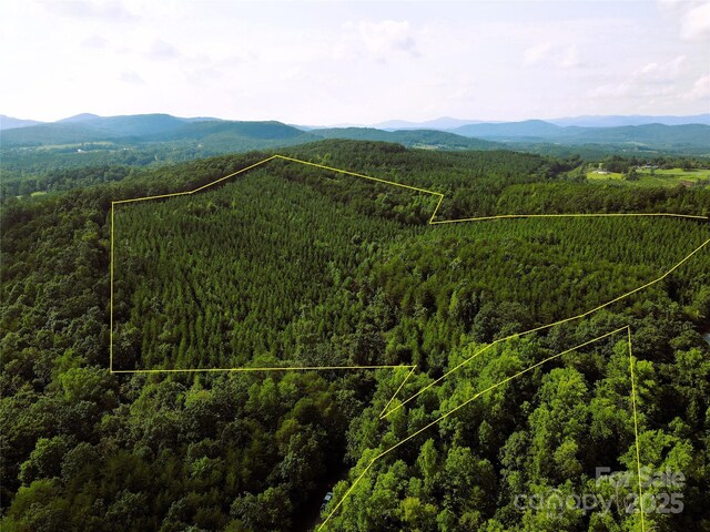 0 Irvin Rd, Ellenboro, NC 28018 - photo 13