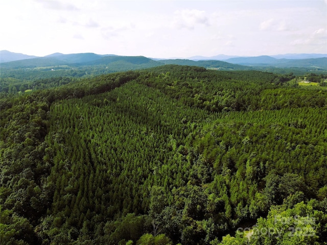 0 Irvin Rd, Ellenboro, NC 28018 - photo 2