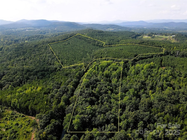 0 Irvin Rd, Ellenboro, NC 28018 - photo 3