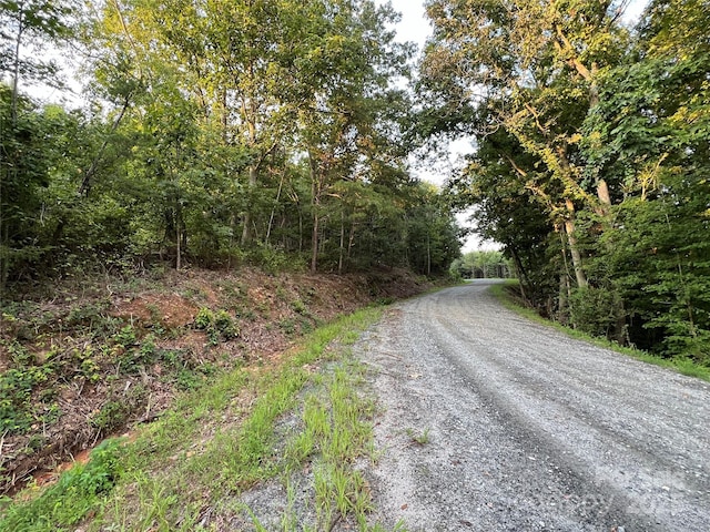 0 Irvin Rd, Ellenboro, NC 28018 - photo 8