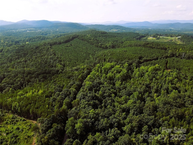 0 Irvin Rd, Ellenboro, NC 28018 - photo 10