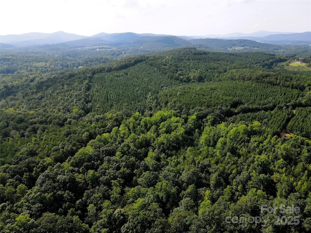 0 Irvin Rd, Ellenboro, NC 28018 - photo 12