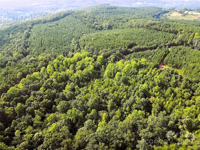 0 Irvin Rd, Ellenboro, NC 28018 - photo 14