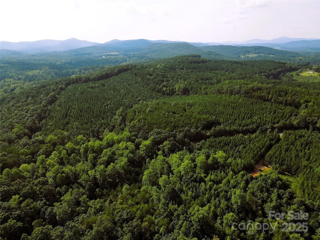 0 Irvin Rd, Ellenboro, NC 28018 - photo 17
