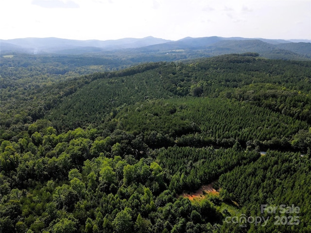 0 Irvin Rd, Ellenboro, NC 28018 - photo 20