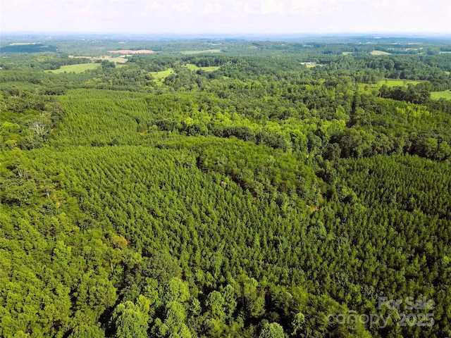 0 Irvin Rd, Ellenboro, NC 28018 - photo 23
