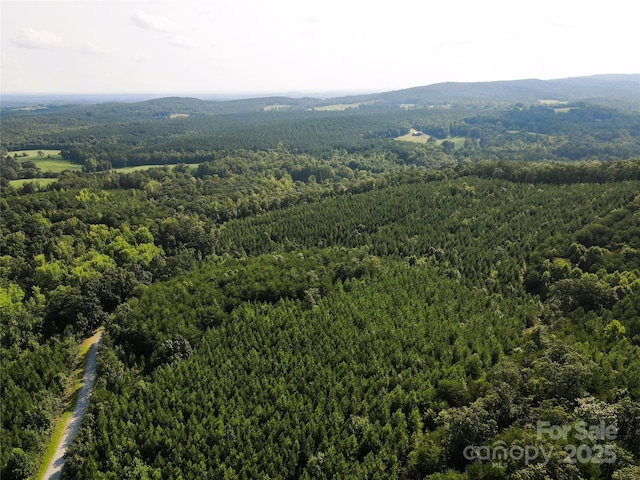 0 Irvin Rd, Ellenboro, NC 28018 - photo 24
