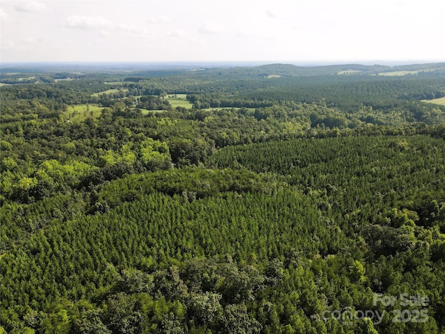 0 Irvin Rd, Ellenboro, NC 28018 - photo 25