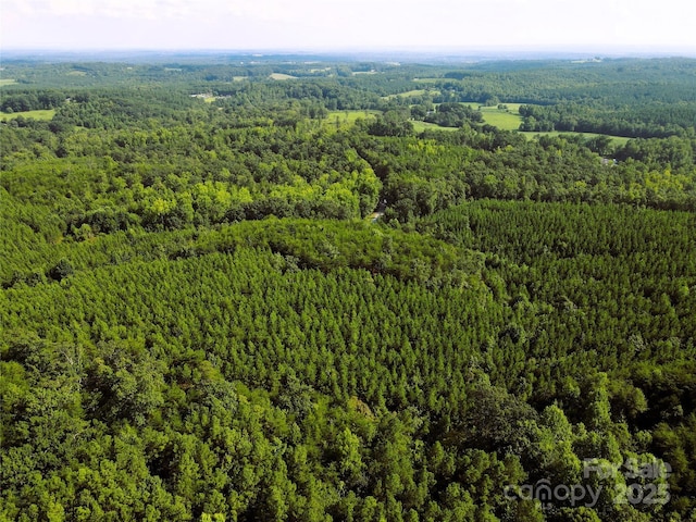 0 Irvin Rd, Ellenboro, NC 28018 - photo 26