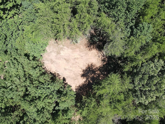 0 Irvin Rd, Ellenboro, NC 28018 - photo 5