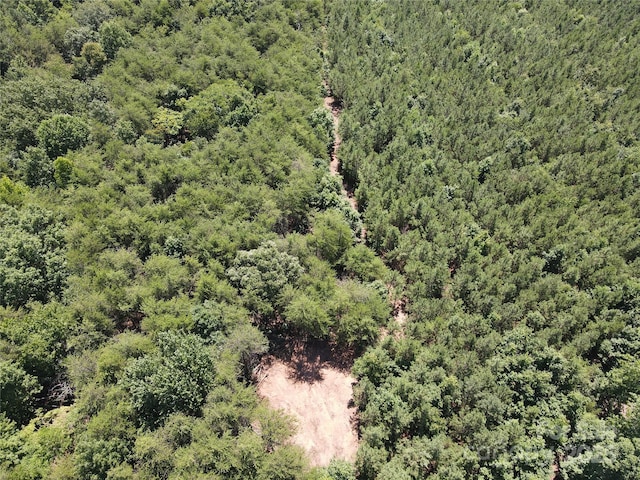 0 Irvin Rd, Ellenboro, NC 28018 - photo 6