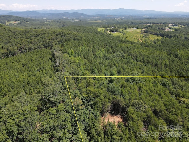 0 Irvin Rd, Ellenboro, NC 28018 - photo 27