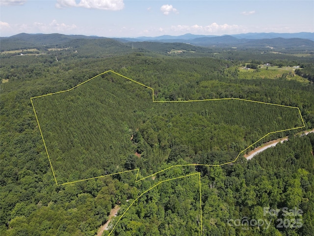 0 Irvin Rd, Ellenboro, NC 28018 - photo 9