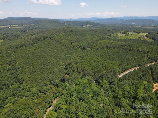 0 Irvin Rd, Ellenboro, NC 28018 - photo 28