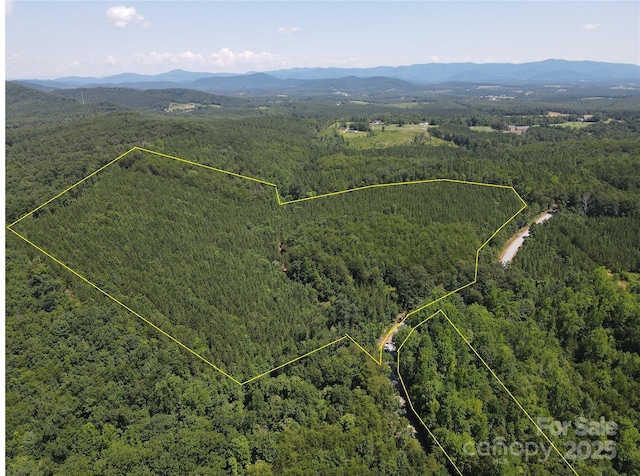 0 Irvin Rd, Ellenboro, NC 28018 - photo 1