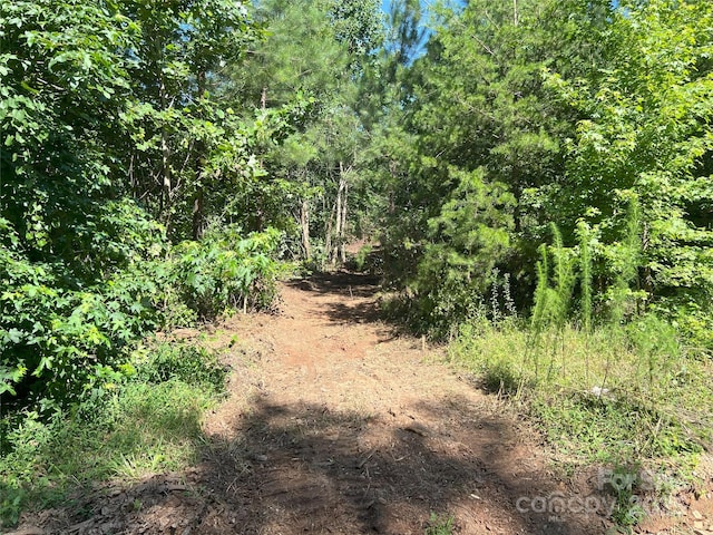 0 Irvin Rd, Ellenboro, NC 28018 - photo 11
