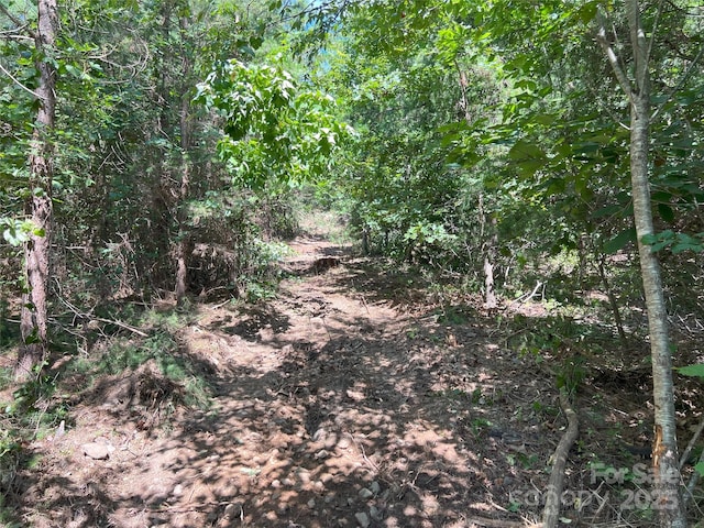 0 Irvin Rd, Ellenboro, NC 28018 - photo 18