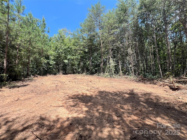 0 Irvin Rd, Ellenboro, NC 28018 - photo 21