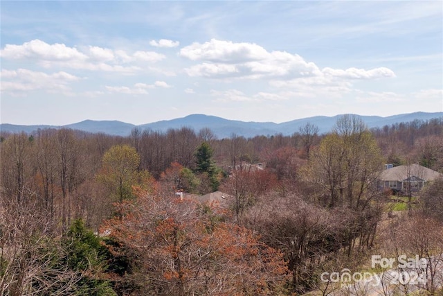 Listing photo 3 for 000 Berry Creek Dr, Flat Rock NC 28731