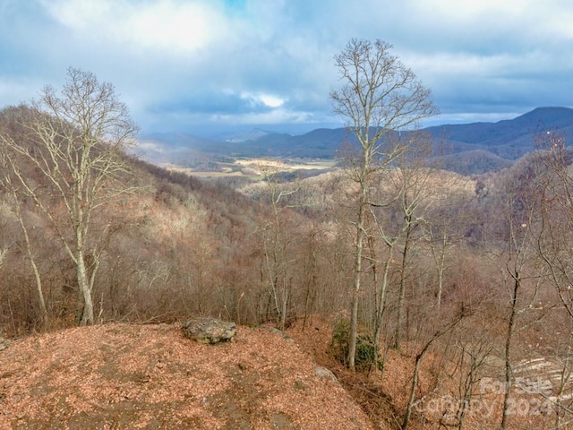 26 Gazebo Trl, Clyde NC, 28721 land for sale