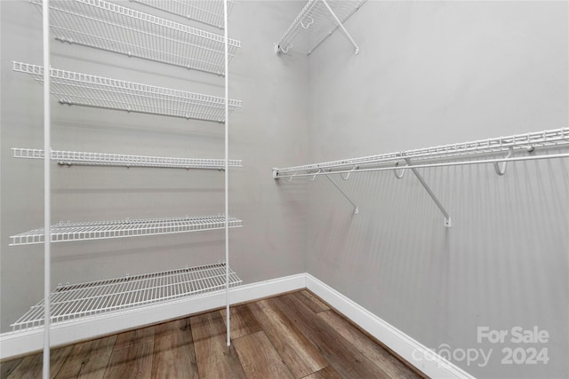 walk in closet featuring wood finished floors