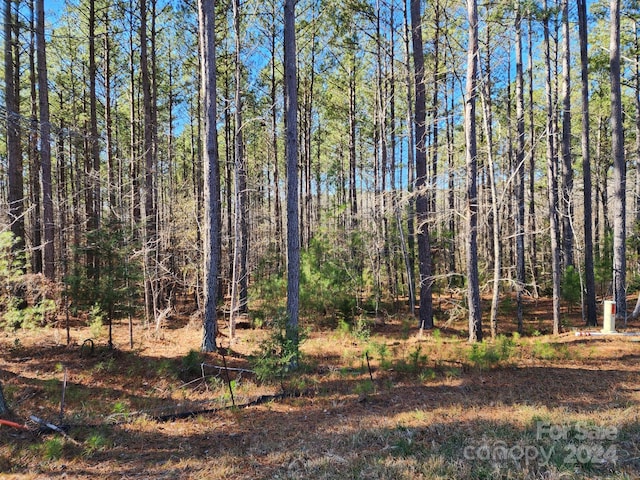3331 Sherman Dr, Lancaster, SC 29720 - photo 2