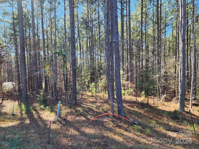 3331 Sherman Dr, Lancaster, SC 29720 - photo 3