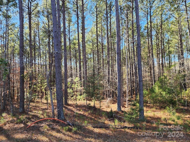 3331 Sherman Dr, Lancaster, SC 29720 - photo 4