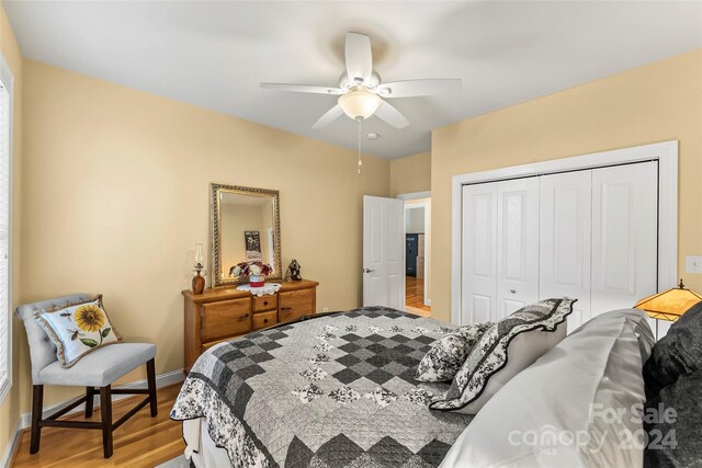 bedroom featuring ceiling fan, a closet, and light hardwood / wood-style flooring