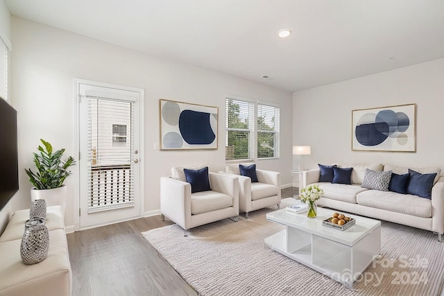 living room featuring wood-type flooring