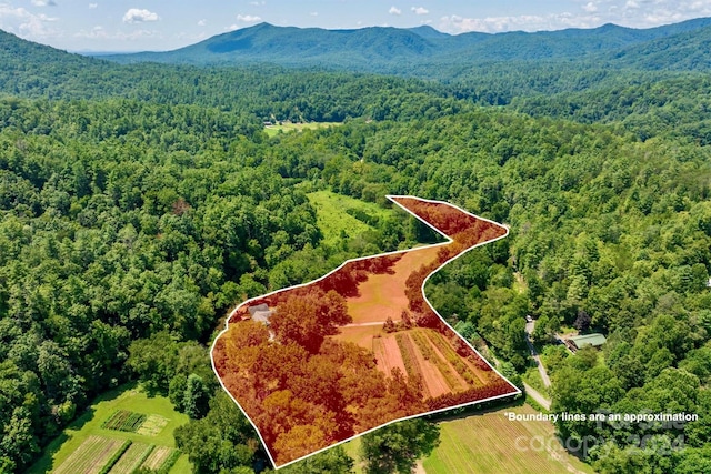 birds eye view of property with a mountain view