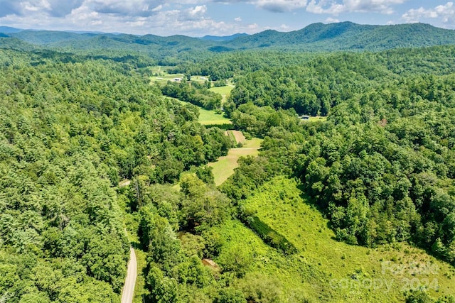 bird's eye view with a mountain view