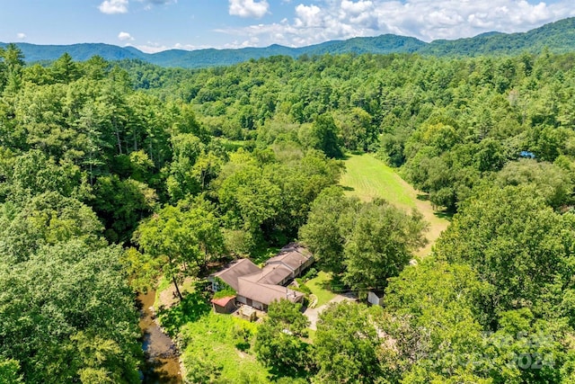 drone / aerial view with a mountain view