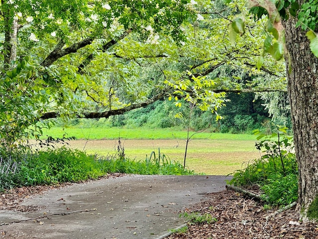 view of community with a lawn