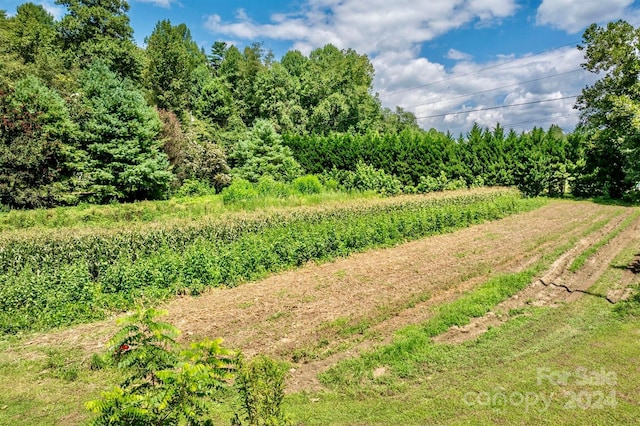 view of nature