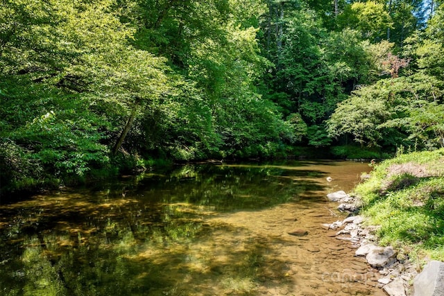 view of local wilderness featuring a water view